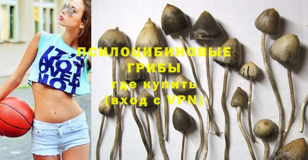 молекула духа Белокуриха