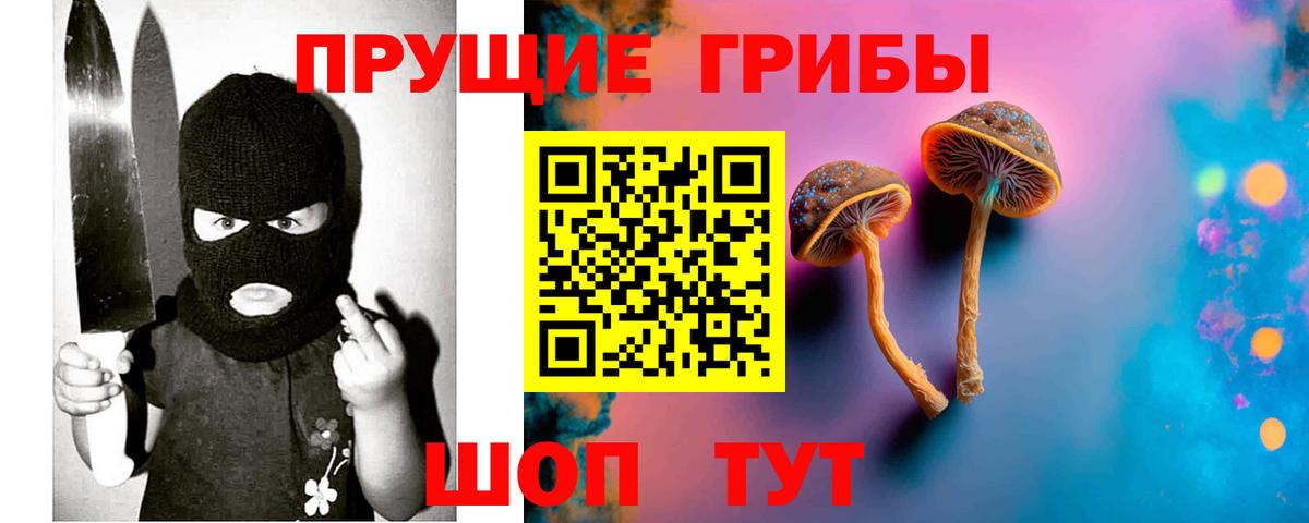 купить   Галлюциногенные грибы Psilocybine cubensis  Вход с VPN  Дальнегорск 