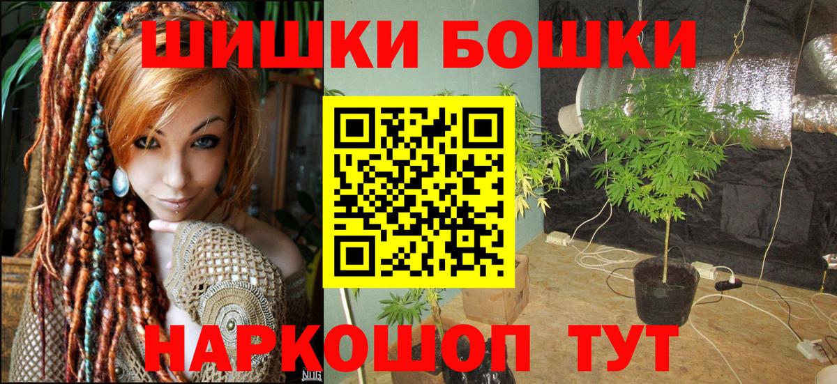 Бошки марихуана планчик  Бошки Шишки SATIVA & INDICA  Дальнегорск  Конопля ГИДРОПОН  Вход с VPN 